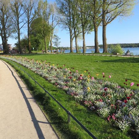 Ferienwohnungen "Marie" Mit Terrassen, Inclusive Park- Und Stellplaetze Am Haus, Mueritz-Strand Nur 700M, Altstadt 10Min, Ruhige Lage, Waren  Dış mekan fotoğraf