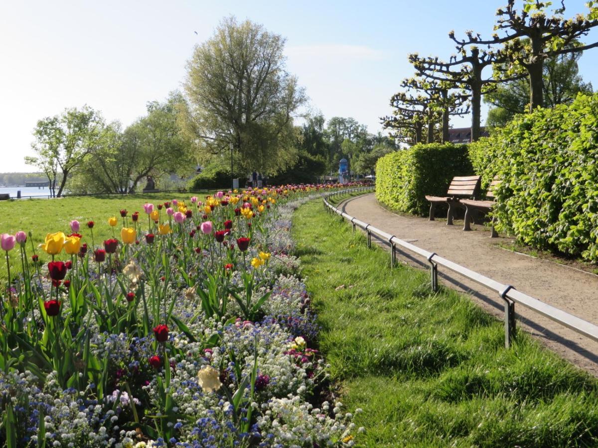 Ferienwohnungen "Marie" Mit Terrassen, Inclusive Park- Und Stellplaetze Am Haus, Mueritz-Strand Nur 700M, Altstadt 10Min, Ruhige Lage, Waren  Dış mekan fotoğraf